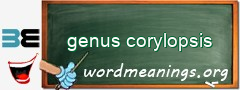 WordMeaning blackboard for genus corylopsis